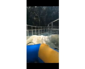 海南儋州市旗嶺-福安南藥科技園恐龍探險景區